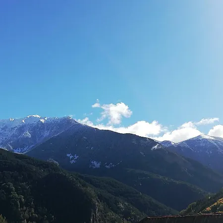 Apartment Edelweiss *